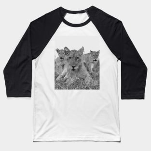 Zambia lions Baseball T-Shirt